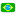 Portugus Brasileiro